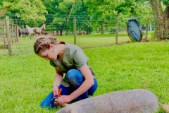 Large Animal Vet