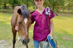 Large Animal Vet