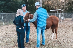 Large Animal Vet