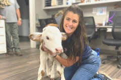 Large Animal Vet