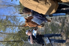 Large Animal Emergency Services